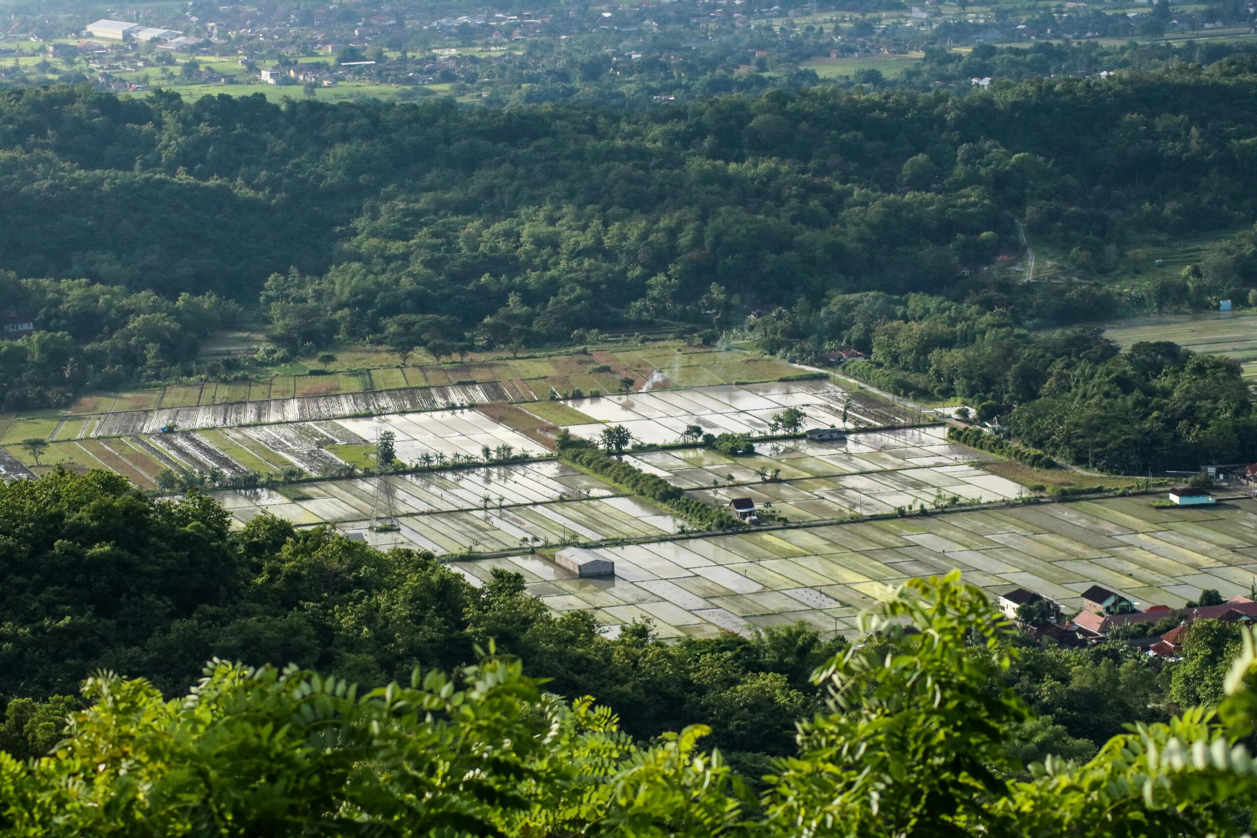 pexels-m-luthfi-nurrasjad-912955572-31075458