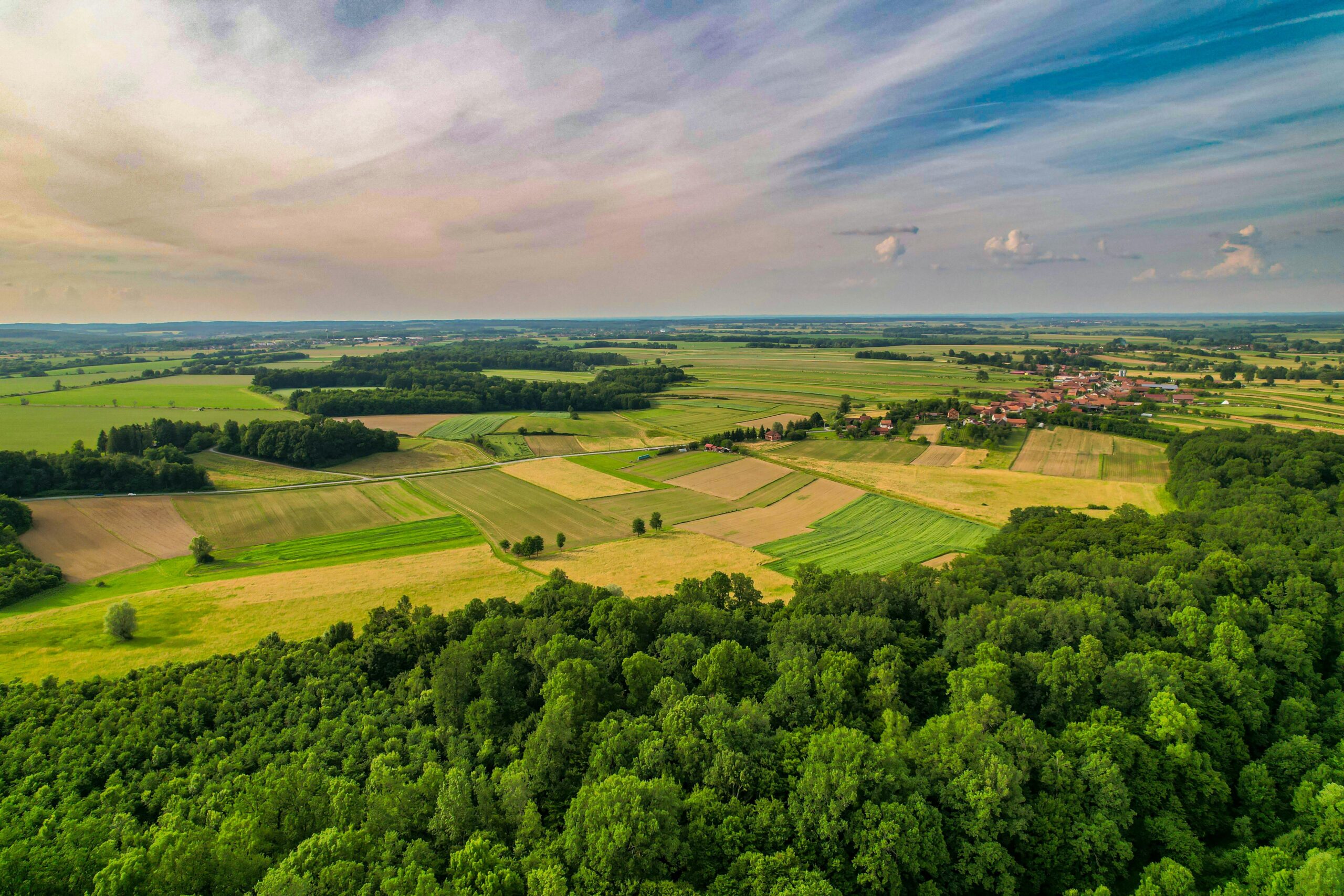 pexels-vladimirsrajber-25287806