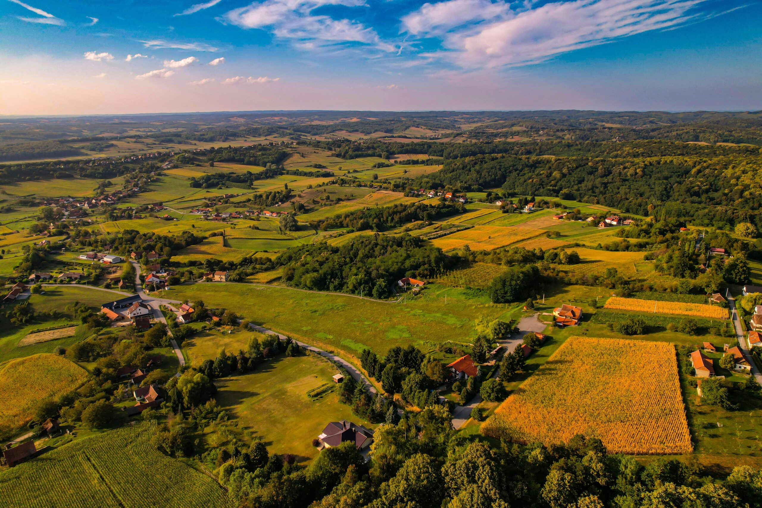pexels-vladimirsrajber-28000468